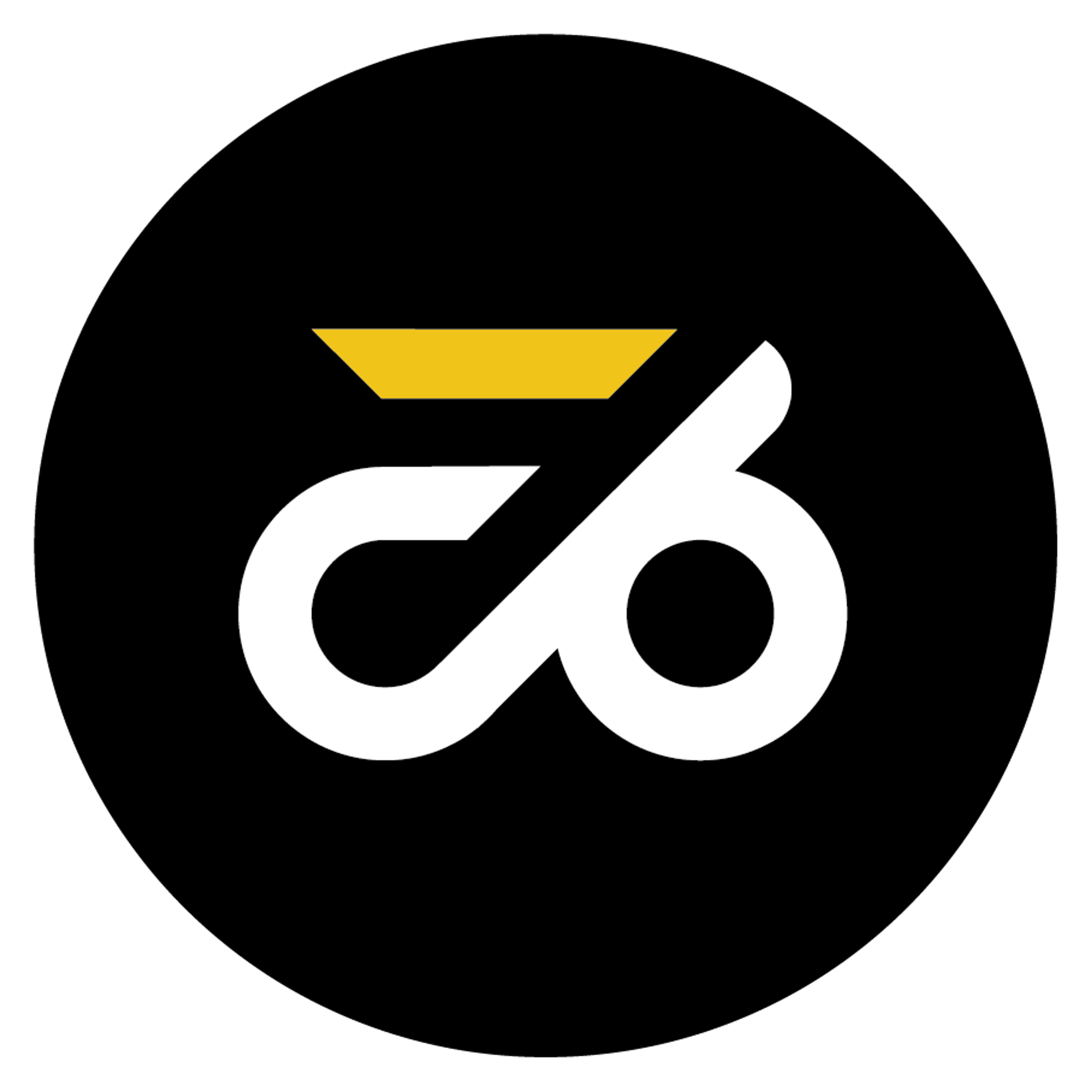 CMO & Co-Founder