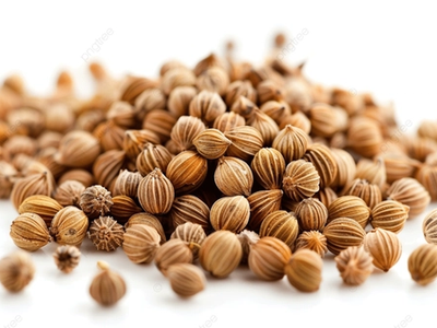 Coriander seeds