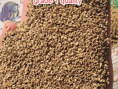 Carom Seed Grade 1