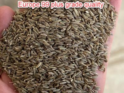Cumin Europe 99 Plus