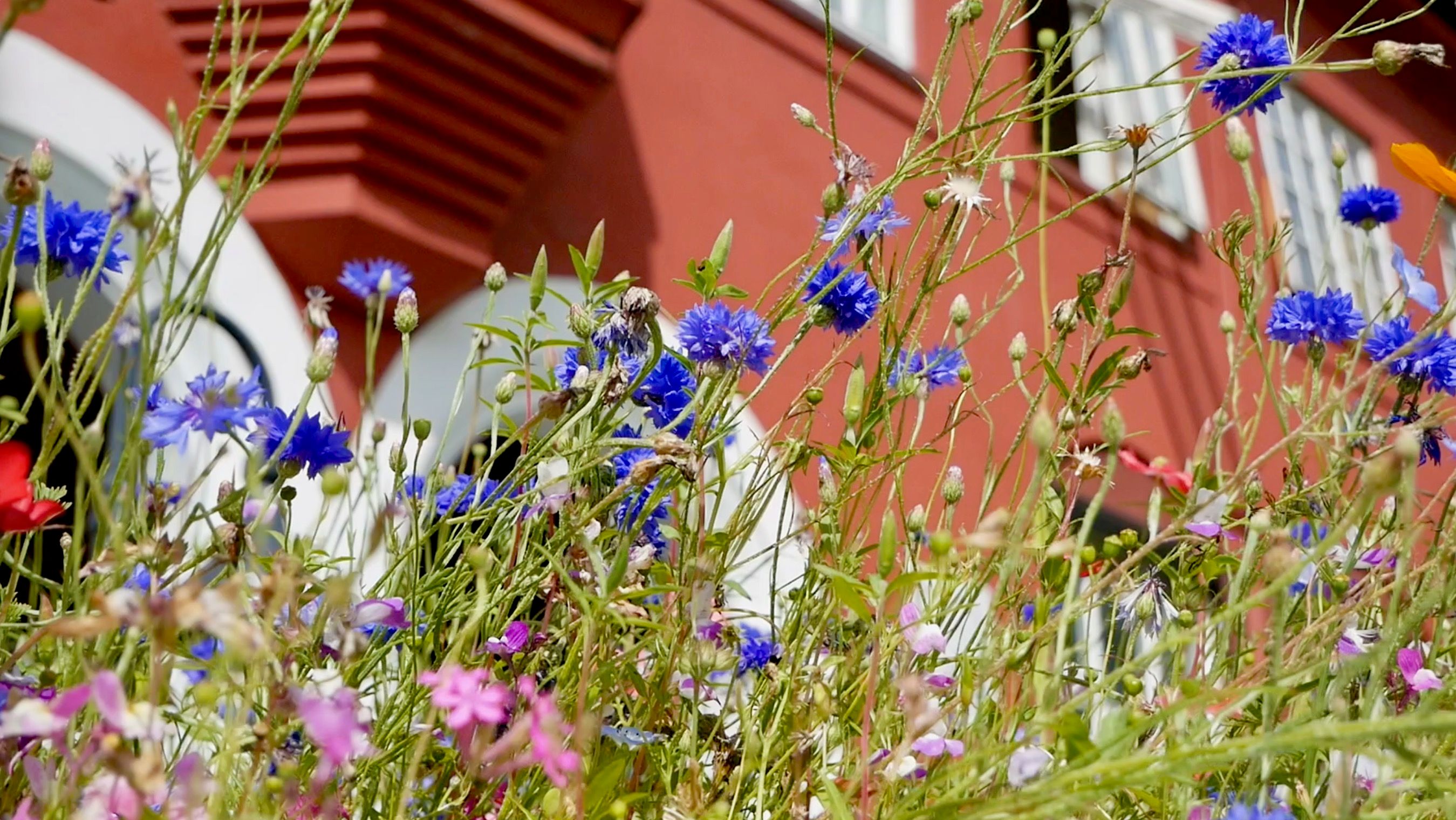 Kunstnere kommer fra hele verden for å bo på KH Messen i Ålvik Hardanger