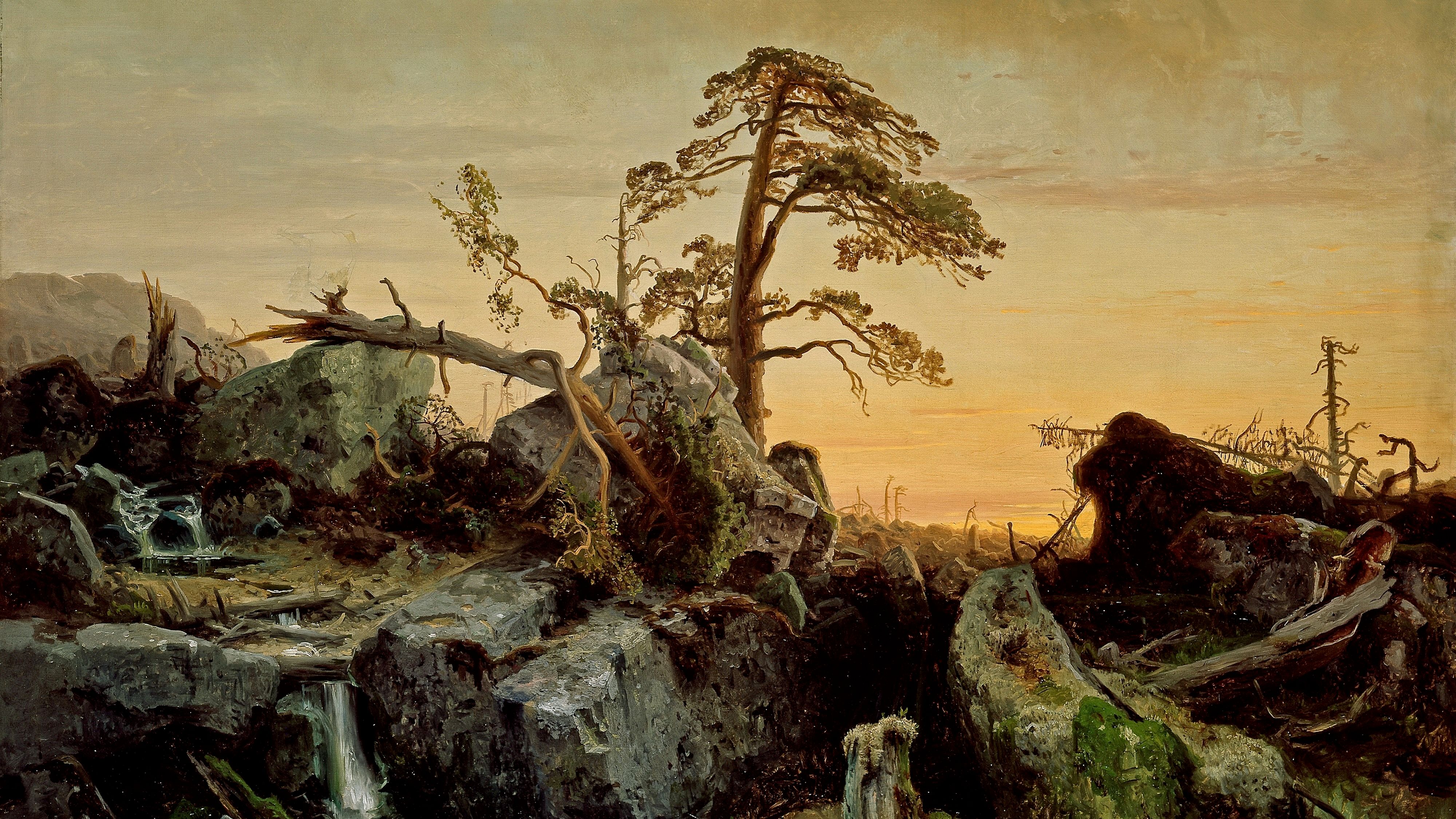 Alt du trenger å vite om August Cappelen sitt verk Utdøende urskog