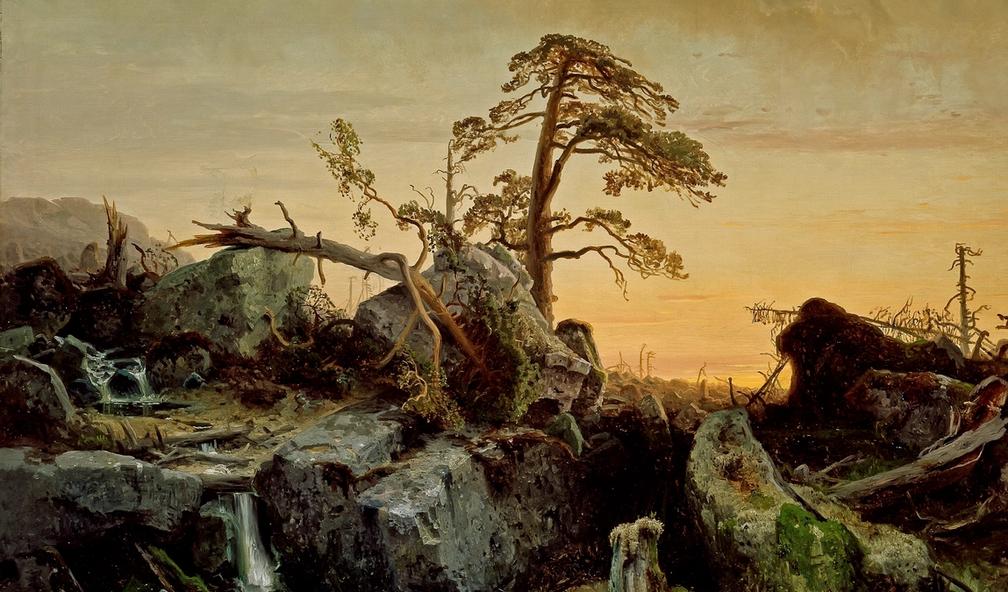 Alt du trenger å vite om August Cappelen sitt verk Utdøende urskog