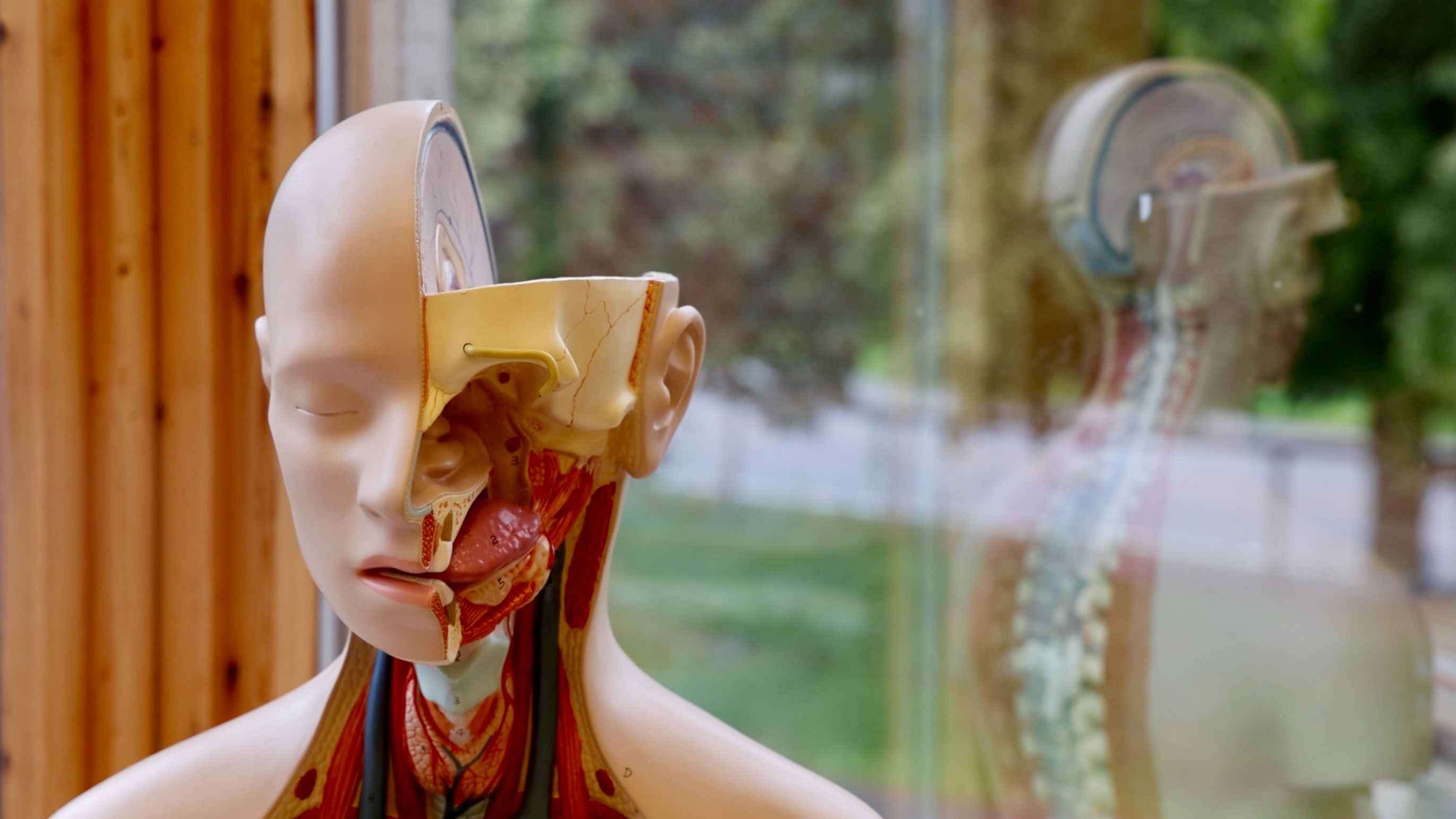 Betydningen av kunst og kultur for hjernens utvikling med Kunsten Å Lære (KÅL)