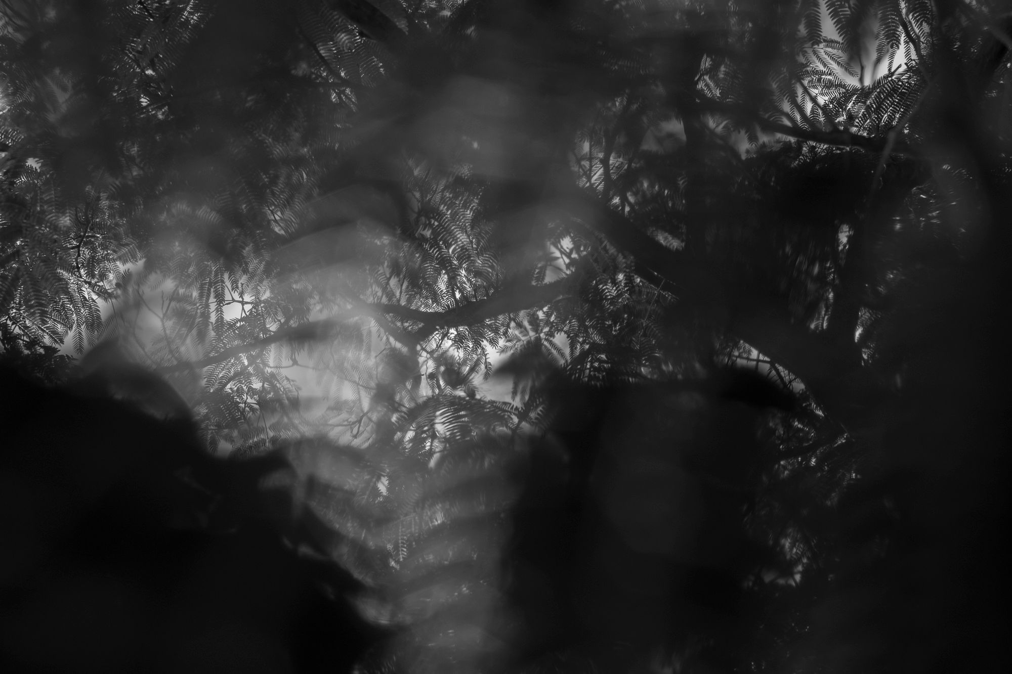 Bjørn-Henrik Lybeck