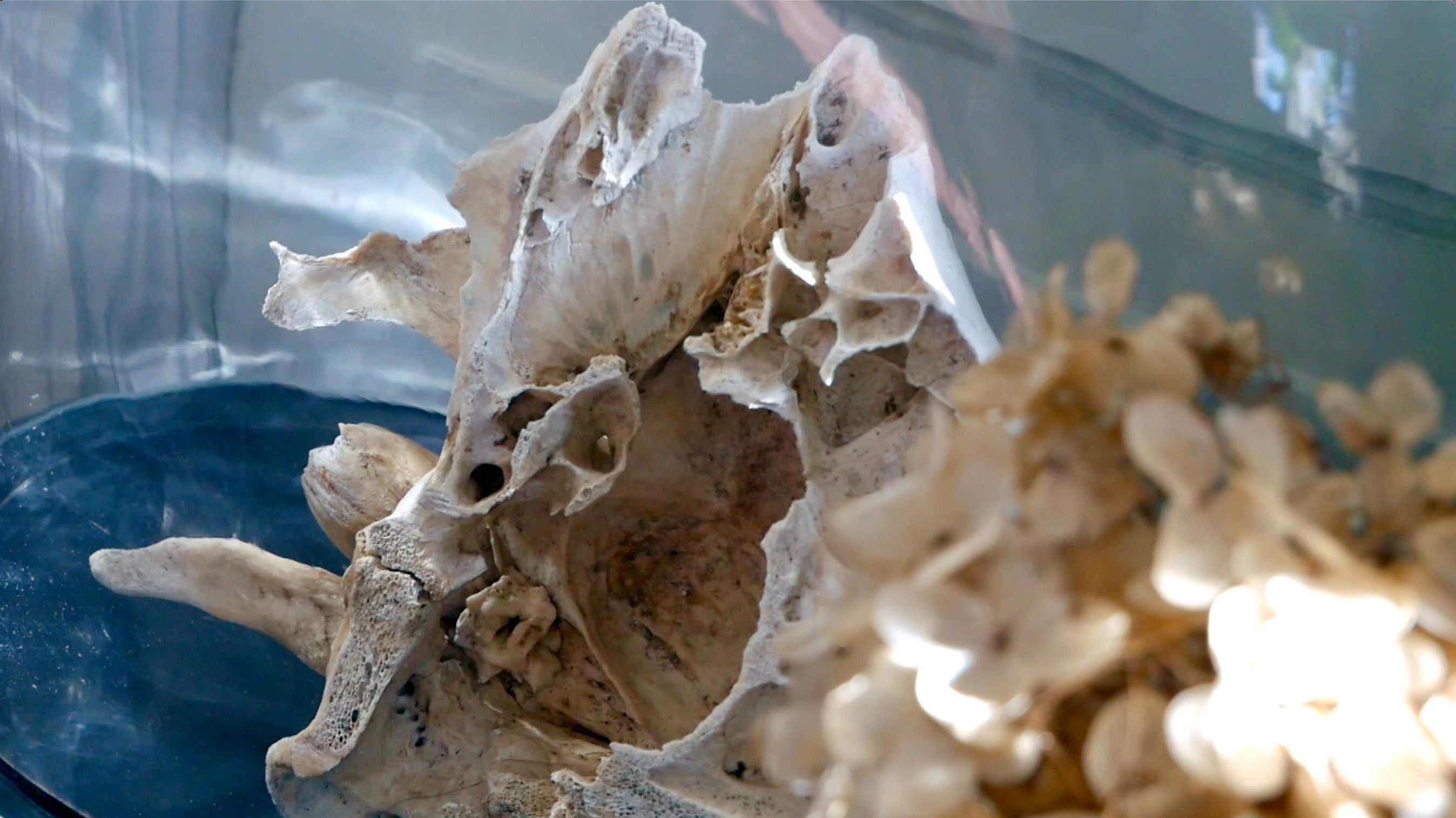 Ann Kristin Aas har et av Norges vakreste og mest finurlige atelier