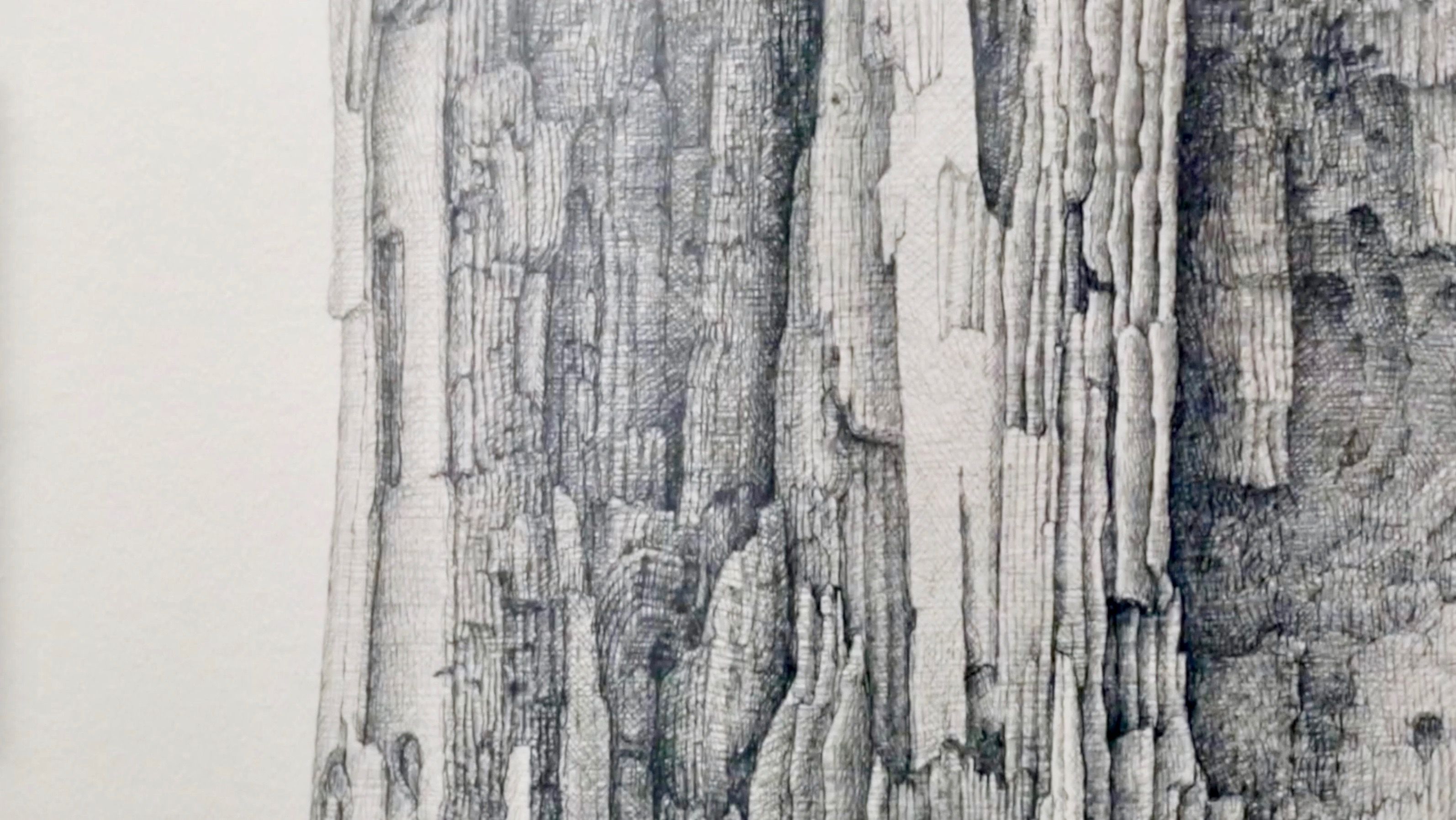 Total tegnefest hos Sørlandets Kunstmuseum