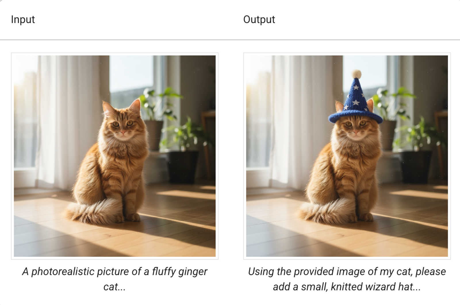 An input and output comparison adding a wizard hat to a cat with gpt image 2.5 vs nano banana 2.1.