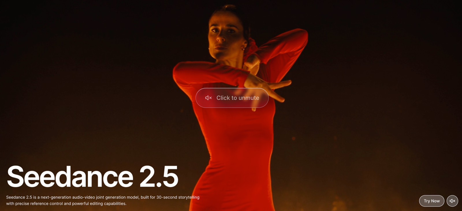 Official product page showcasing a flamenco dancer generated by the seedance 2.5 AI model.