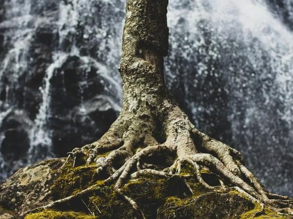 De basis op orde: dit mag niet ontbreken in je arbeidsvoorwaardenpakket