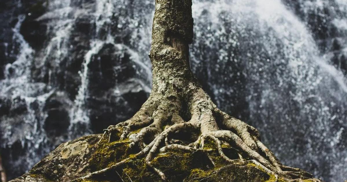 De basis op orde: dit mag niet ontbreken in je arbeidsvoorwaardenpakket