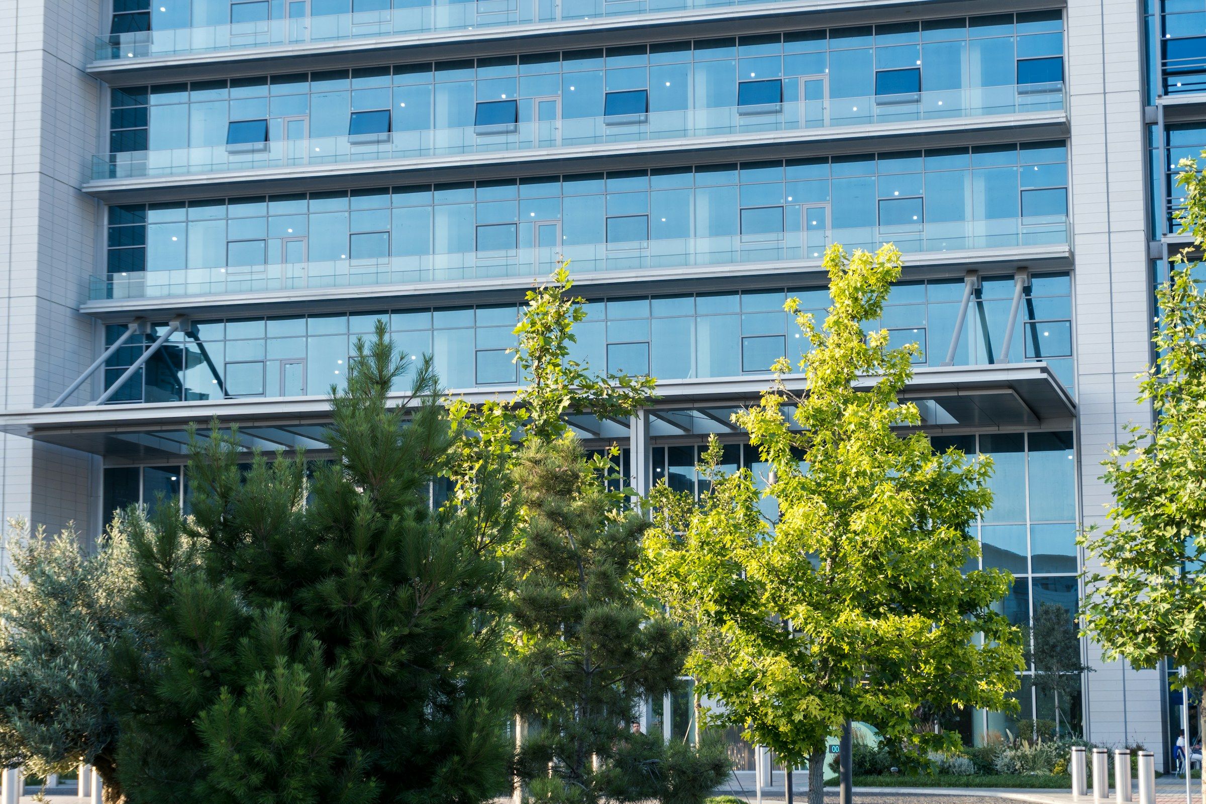Cam cepheli modern bir ofis binası ve önündeki ağaçlar