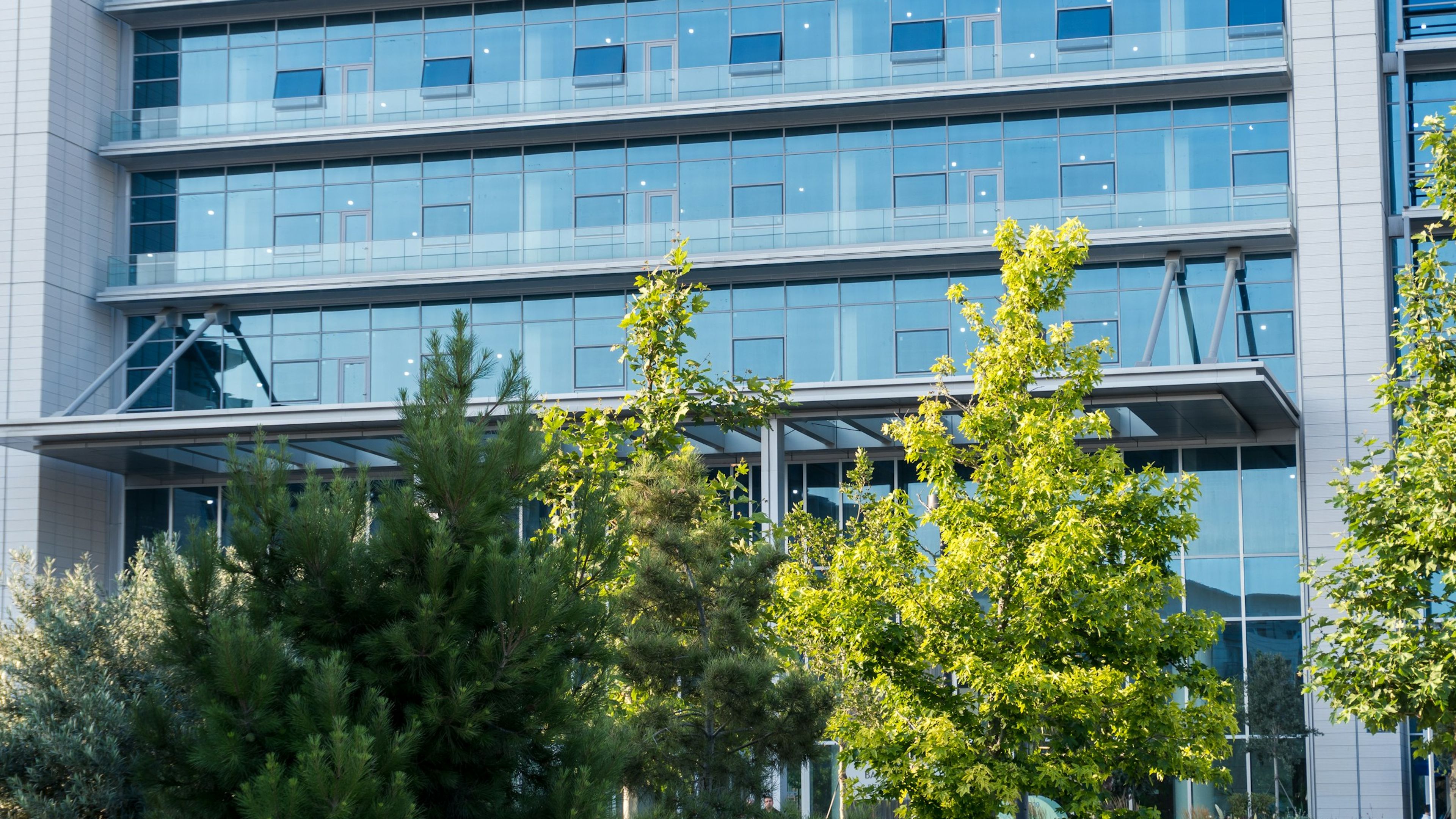 Cam cepheli modern bir ofis binası ve önündeki ağaçlar