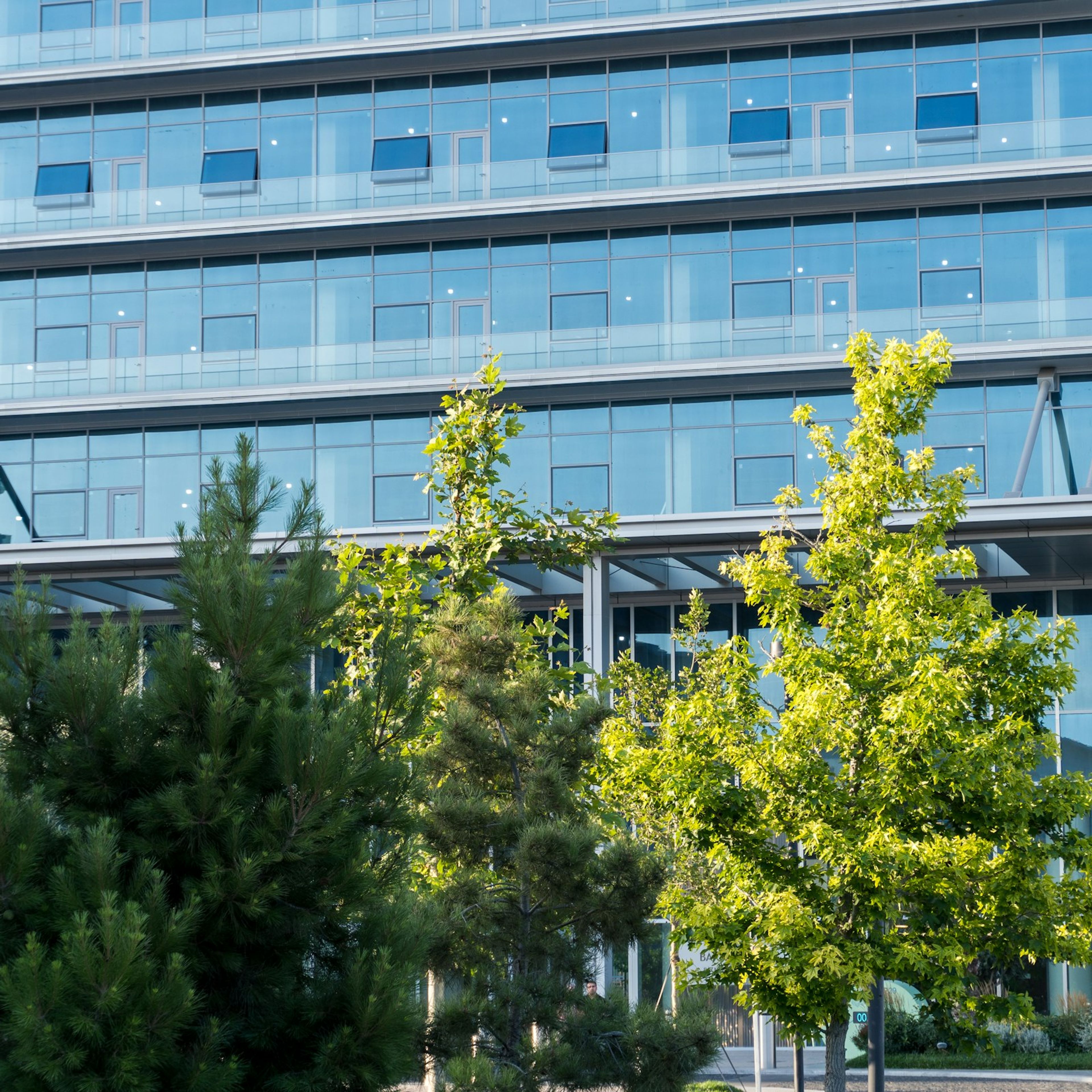 Cam cepheli modern bir ofis binası ve önündeki ağaçlar