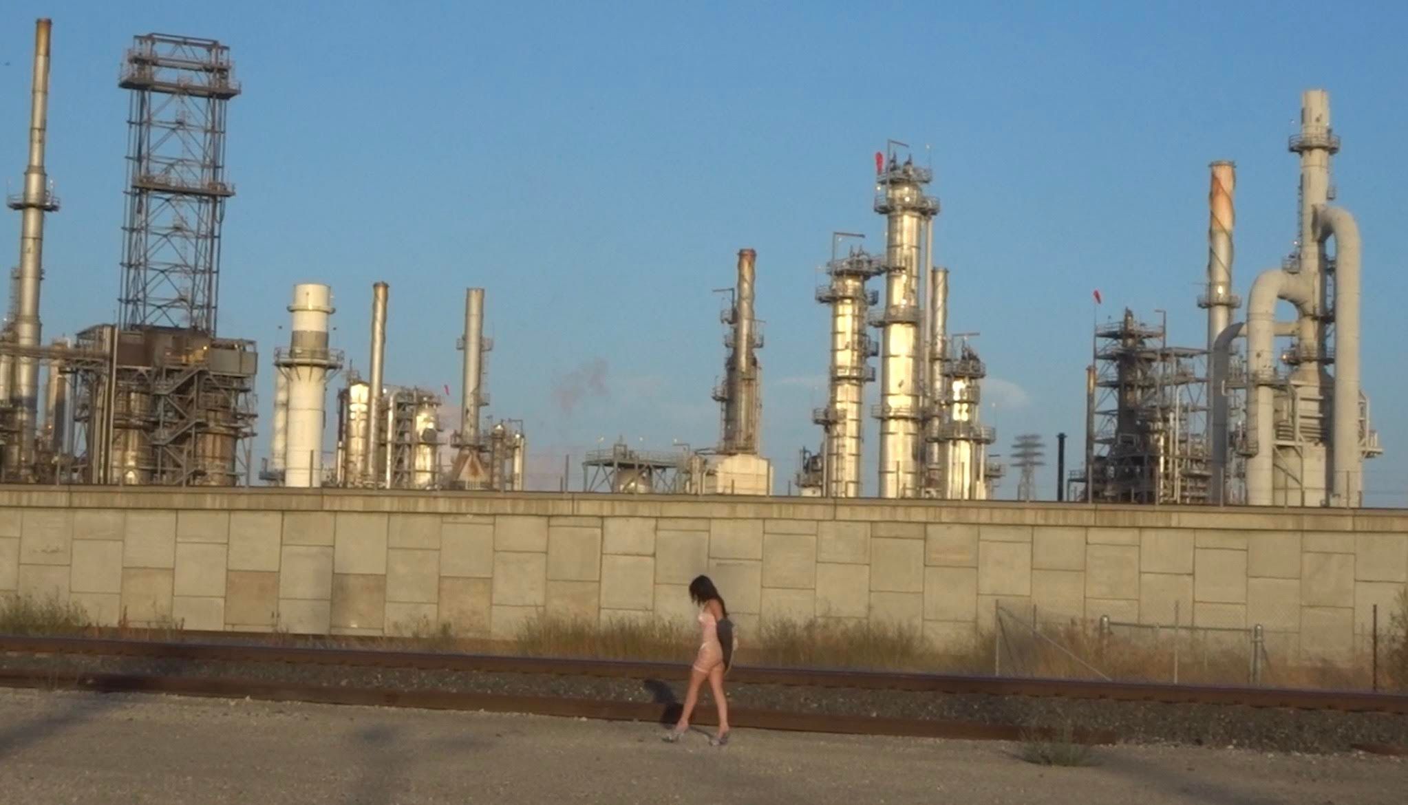 F.G.S. - AMERICAN SHIELD styling by Angelina Vitto