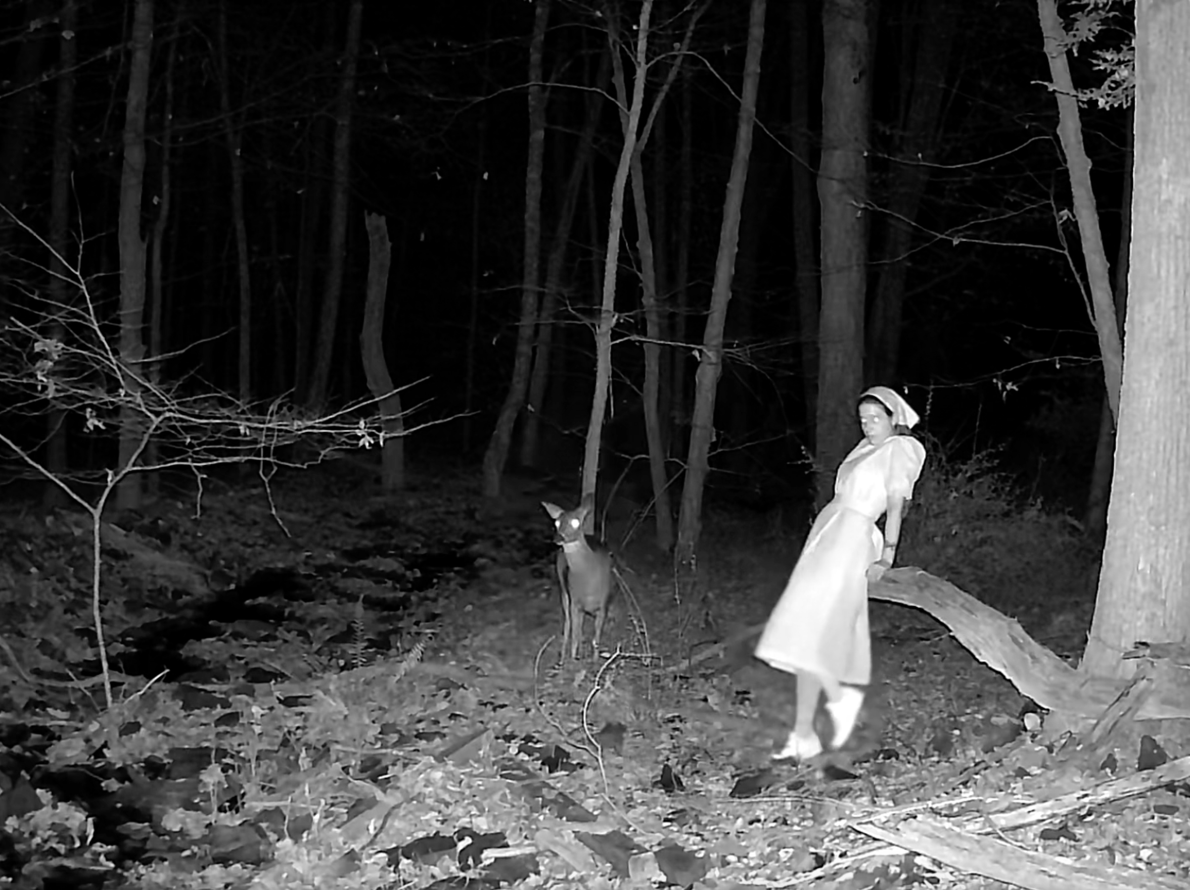 F.G.S. - BUCK'S BLOOD styling by Angelina Vitto