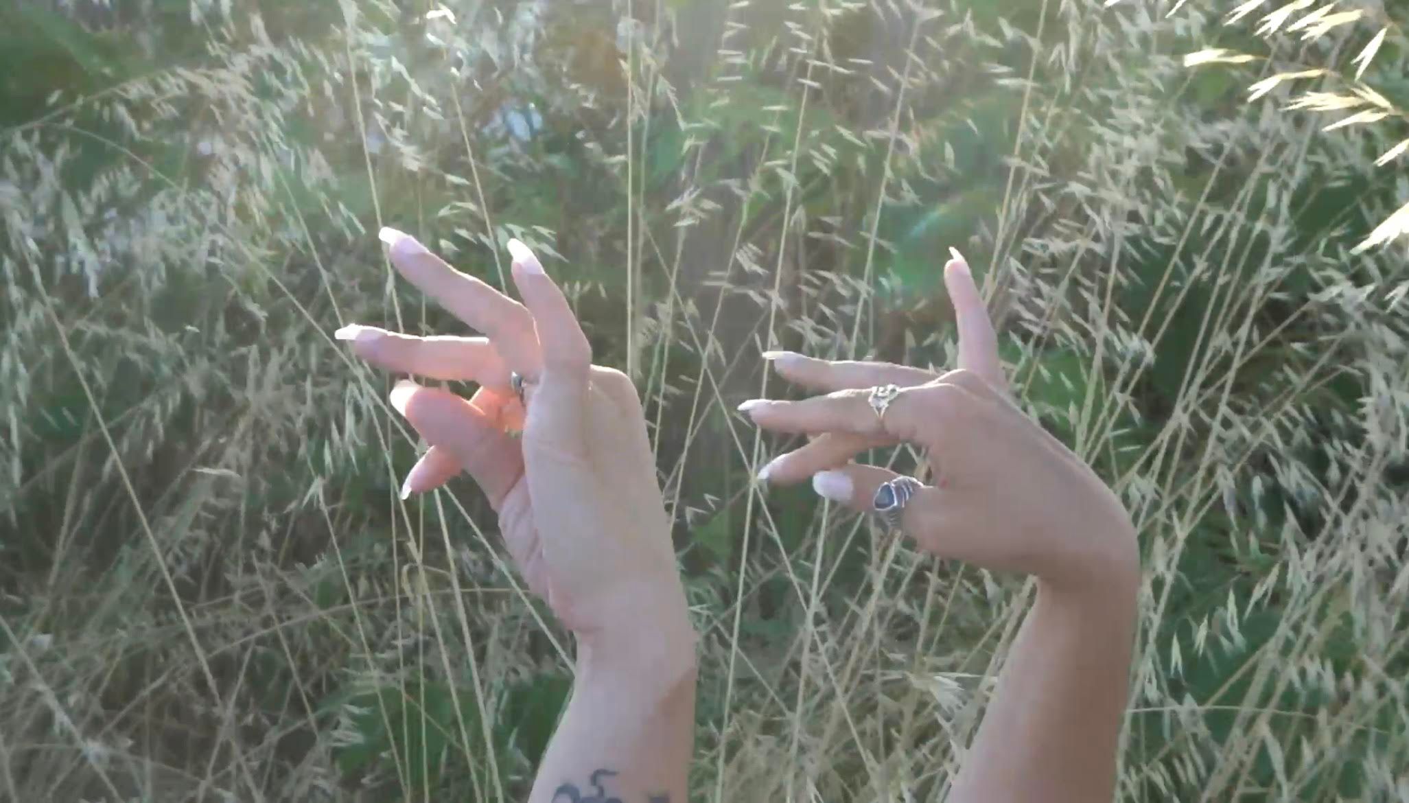 F.G.S. - AMERICAN SHIELD styling by Angelina Vitto