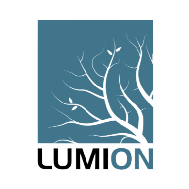 Lumion