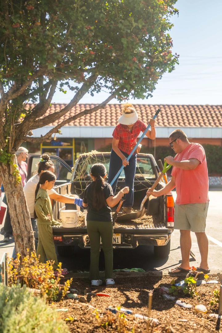 Gardeners and students working around a planted median with the pickup truck nearby