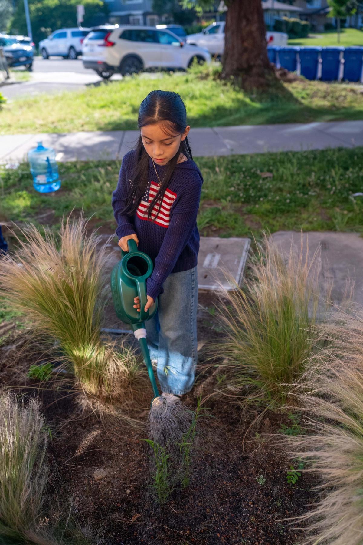 A student carefully watering plants in the school garden