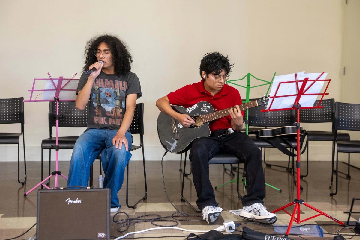 Two musicians performing with a microphone and guitar at Green Fest
