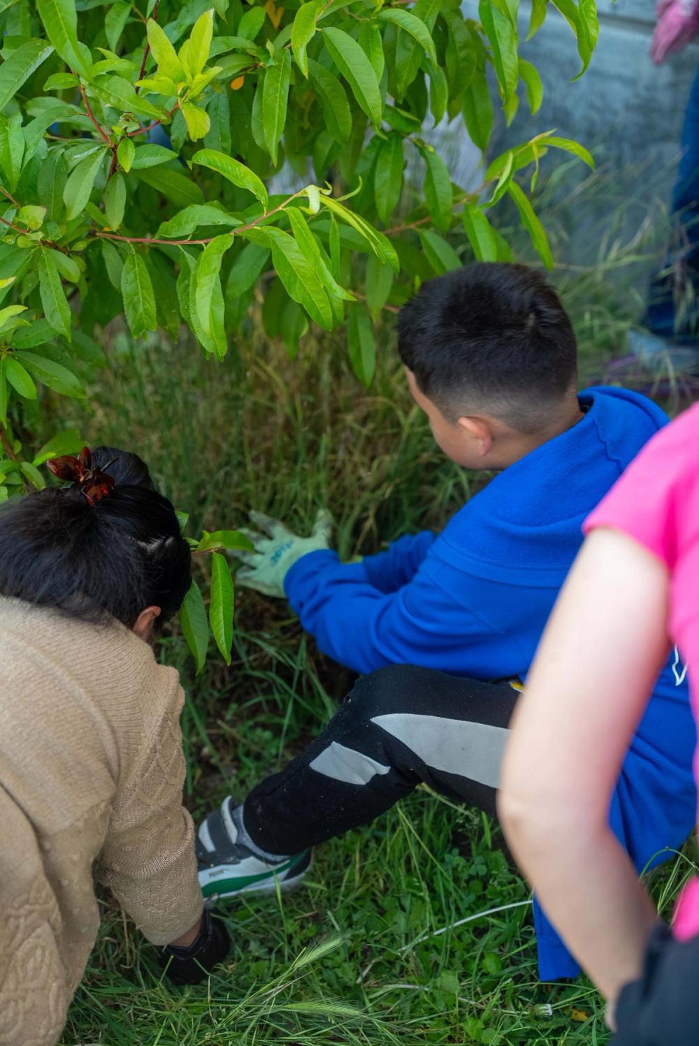 Participants tending plants together at a Minga