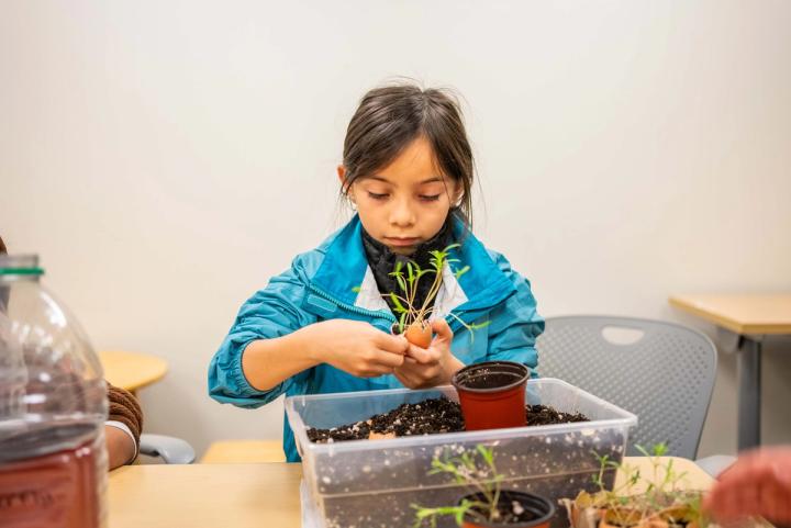 A child working with soil and a small plant at a table