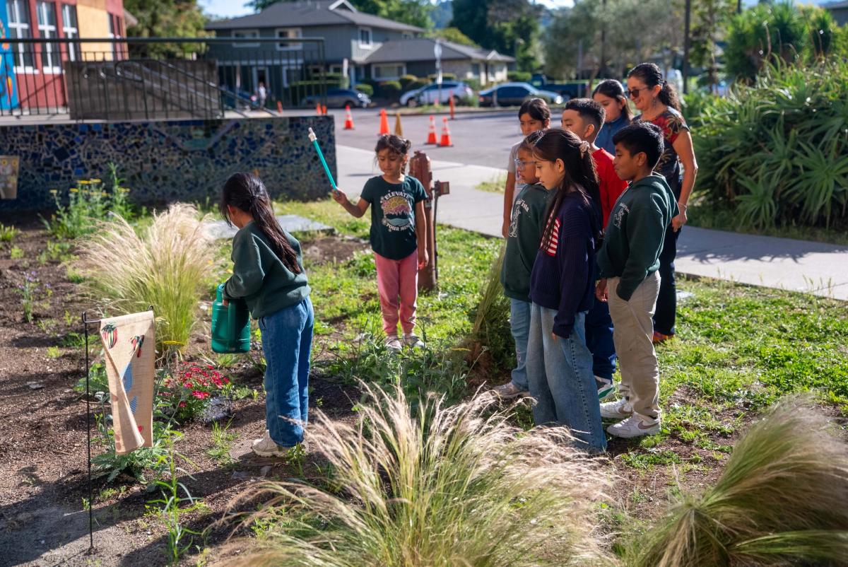 A group of students watching and helping with watering in the school garden