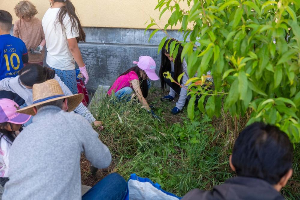 Young people and adults working together among plants beside a building