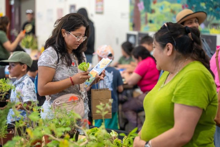 A young person holding a small potted plant at an activity table