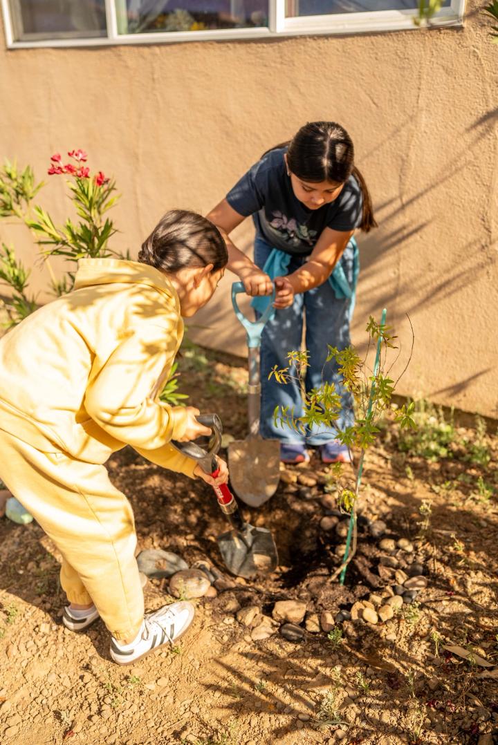 Two people crouching beside plants and tending the soil