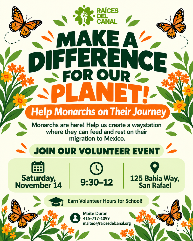 Raíces del Canal monarch volunteer flyer: Saturday, November 14, 9:30 to noon, 125 Bahia Way, San Rafael. School volunteer hours available. Contact Maite Duran at 415-717-1099 or maited@raicesdelcanal.org.