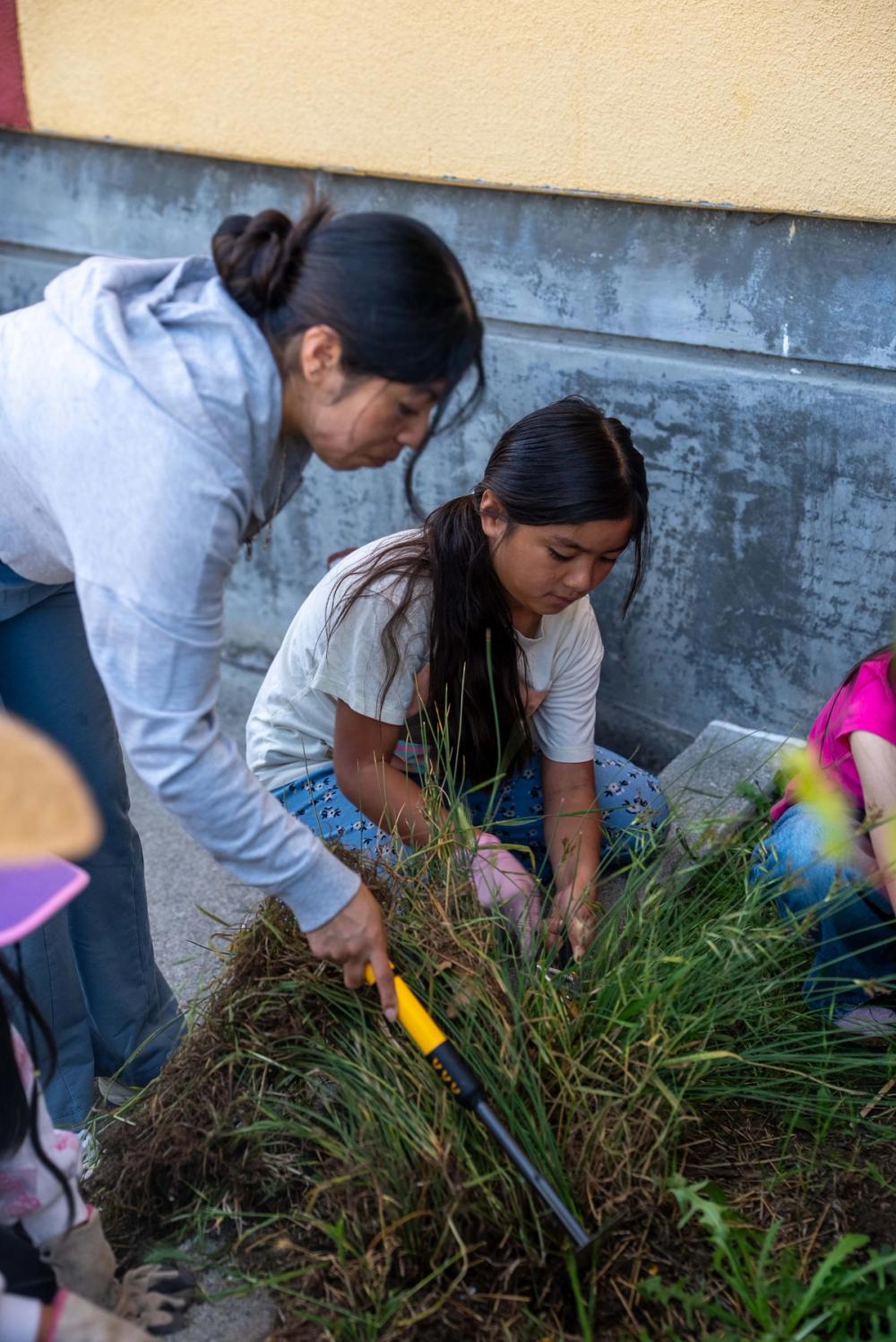 An adult and a young person caring for plants together