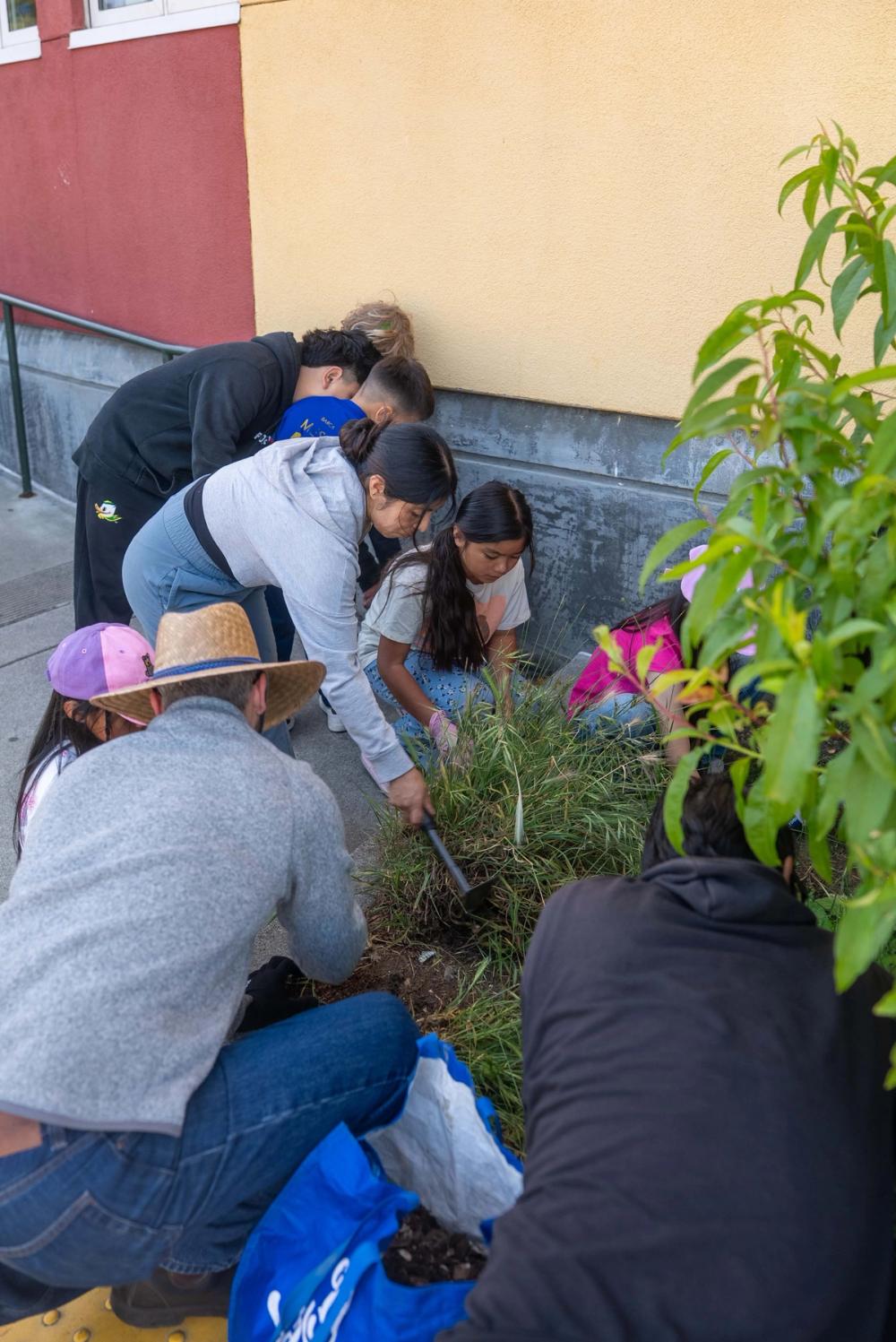 Participants working side by side in a planted area