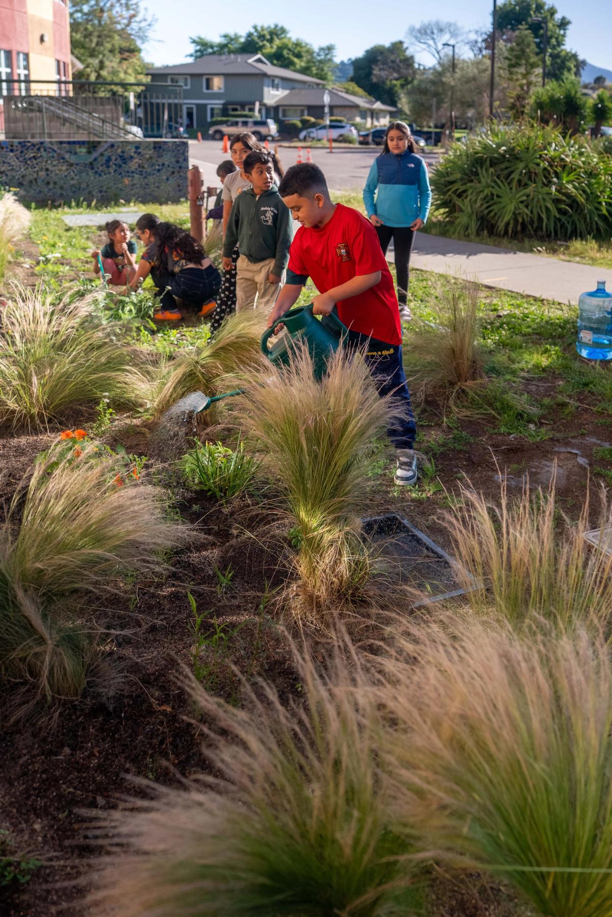 Students taking part in watering and tending the school garden