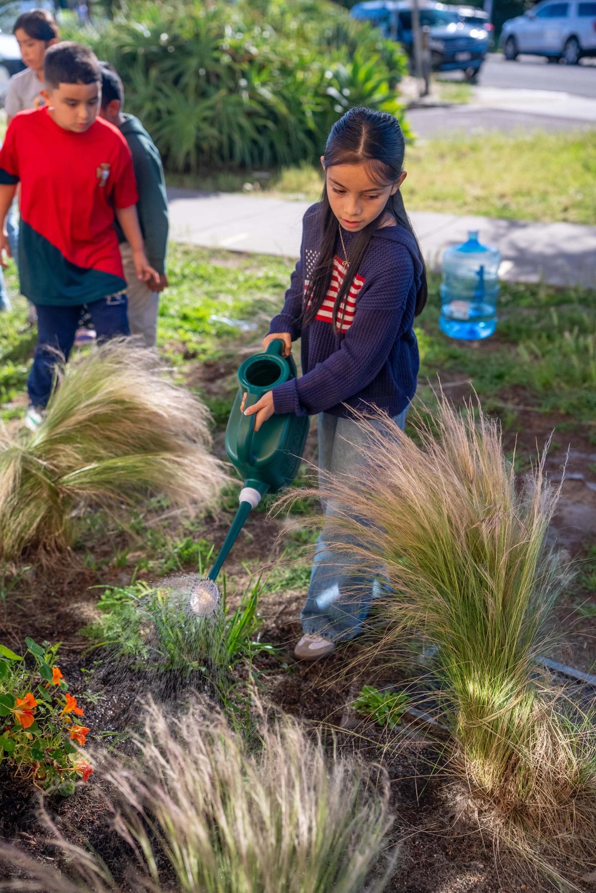 A student watering the soil beside grasses and flowers as classmates stand nearby
