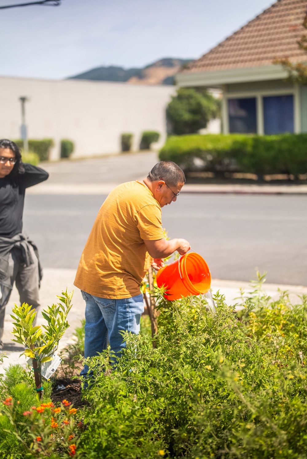 An adult watering a neighborhood garden with an orange bucket