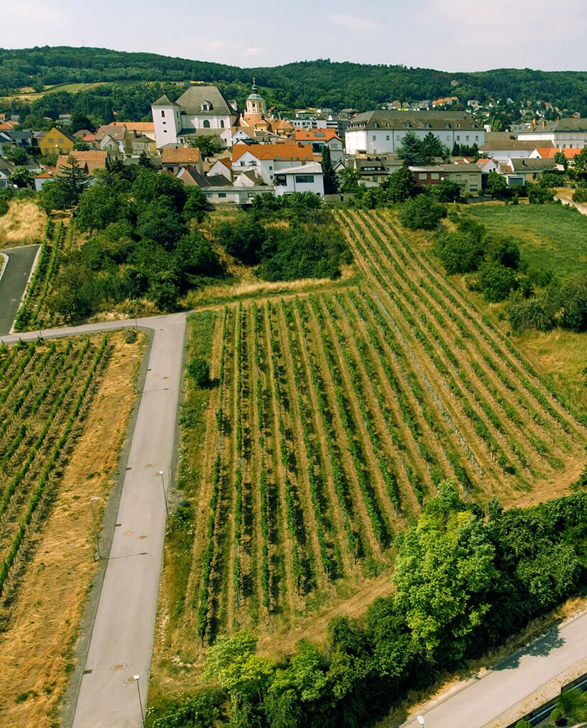 Ried Oberberg