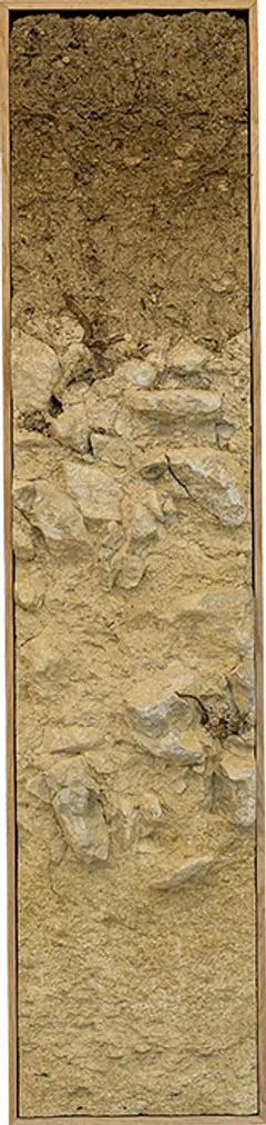 Bodenprofil Ried Feiersteig