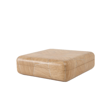 Carapace Box