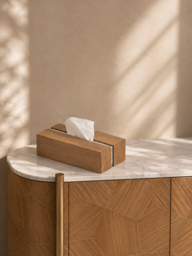 Draw The Line Tissue Holder