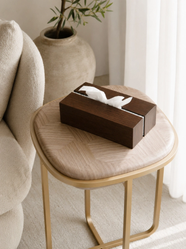 Draw the Line Tissue Holder