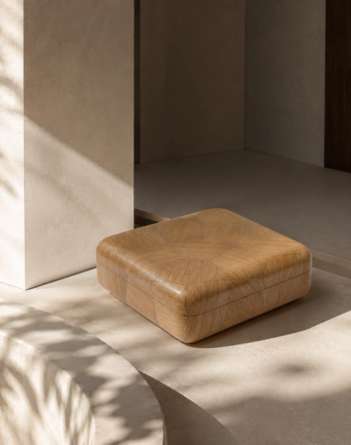 Carapace Box