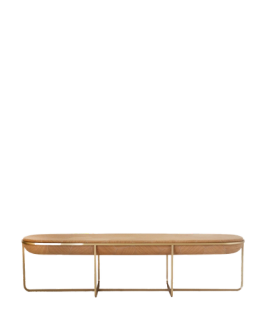 Carapace Low Table