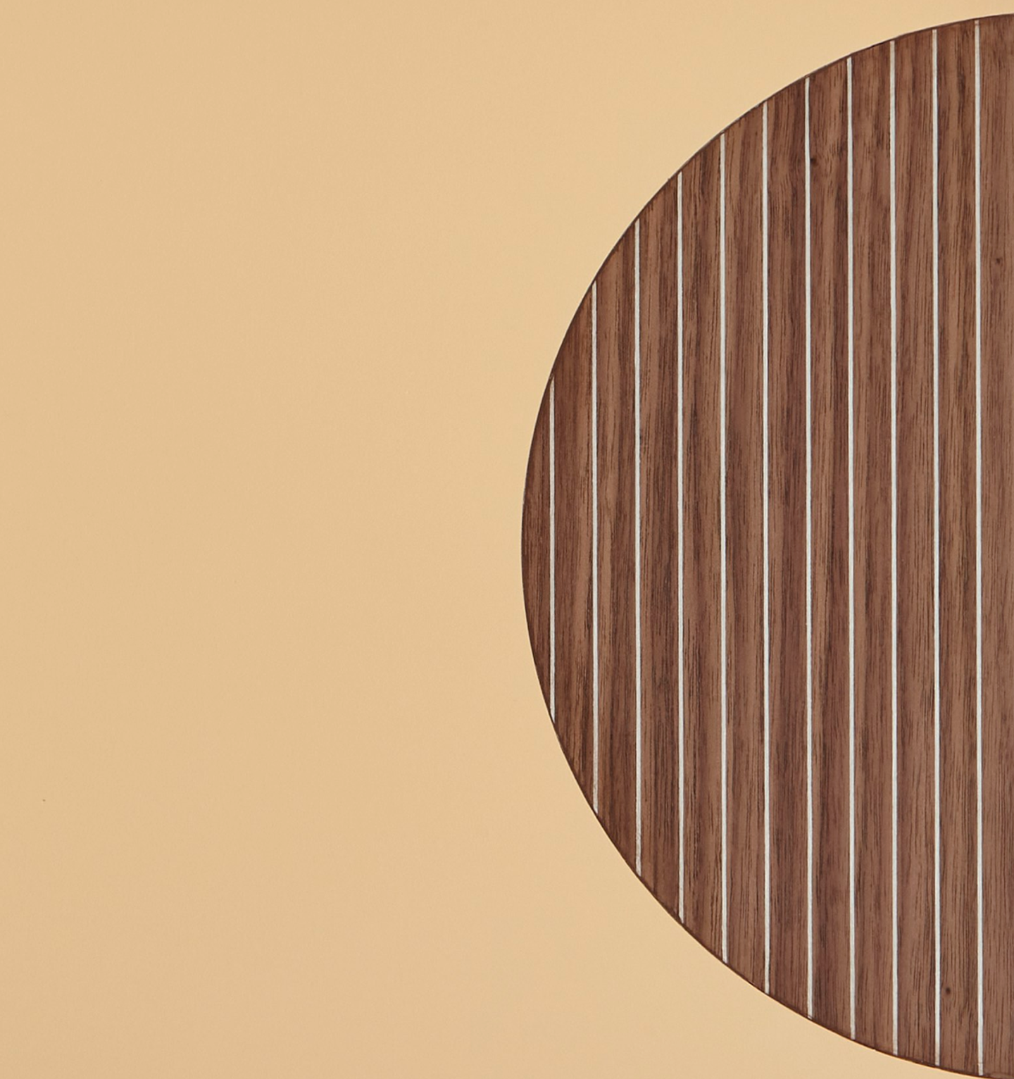 M.D Background Removed.0386 2 (1)