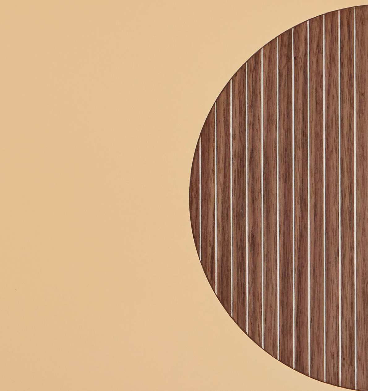 M.D Background Removed.0386 2 (1)