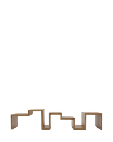 Sculpture Wood Low Table