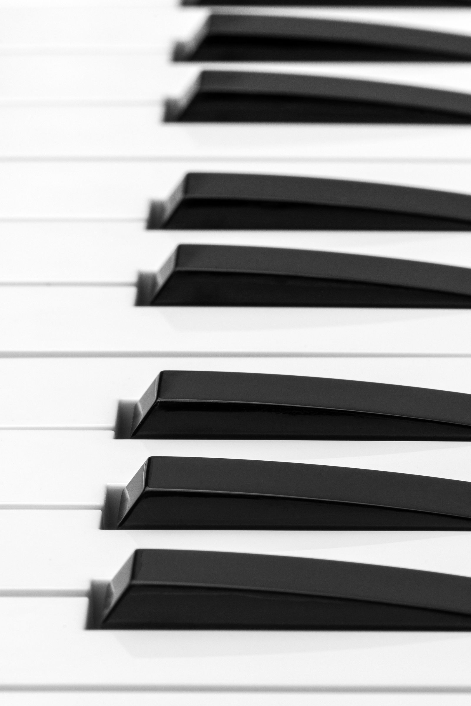 Touches blanches et noires immaculées d'un piano numérique