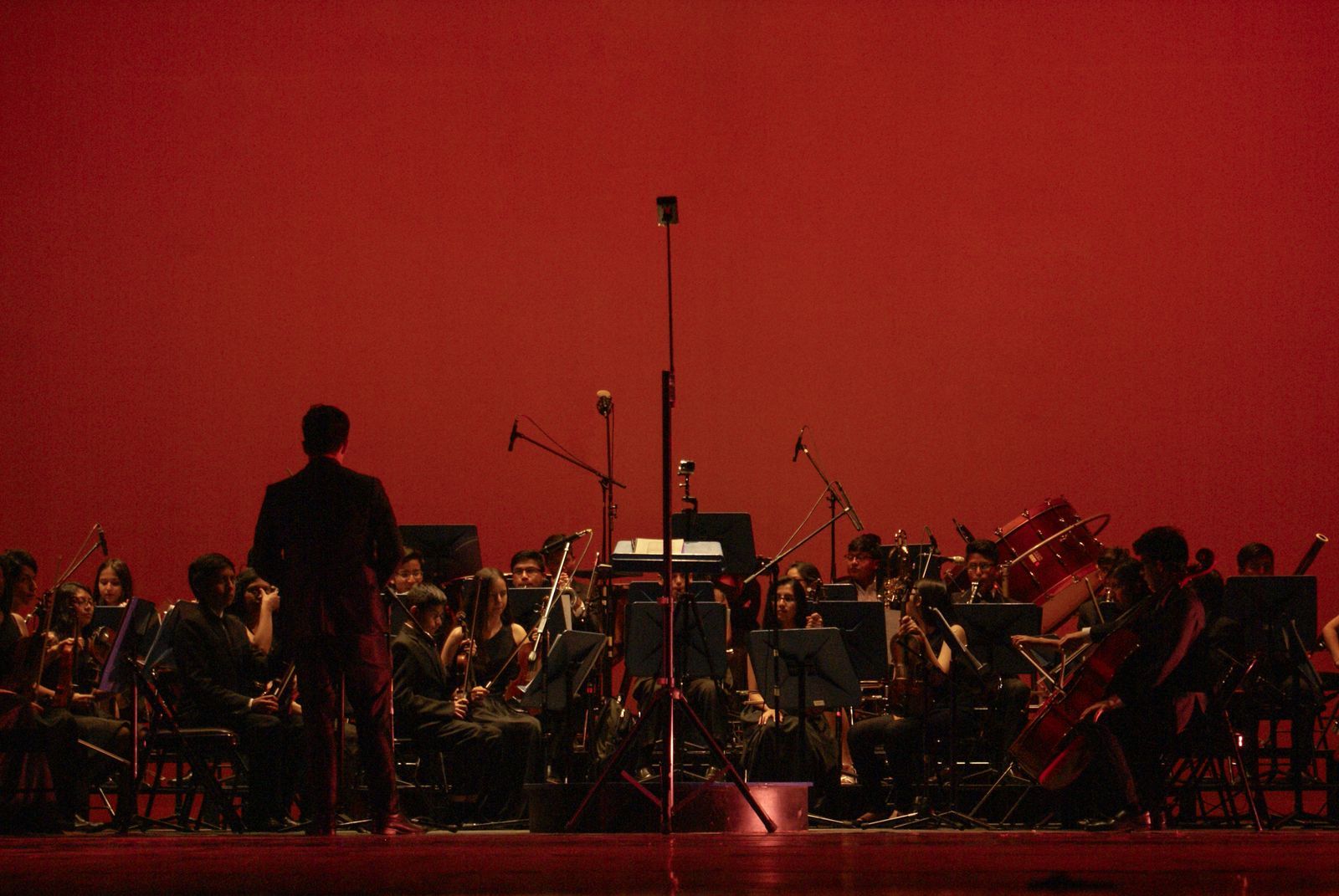 Orchestre symphonique jouant sur scène, cordes et chef d'orchestre visibles