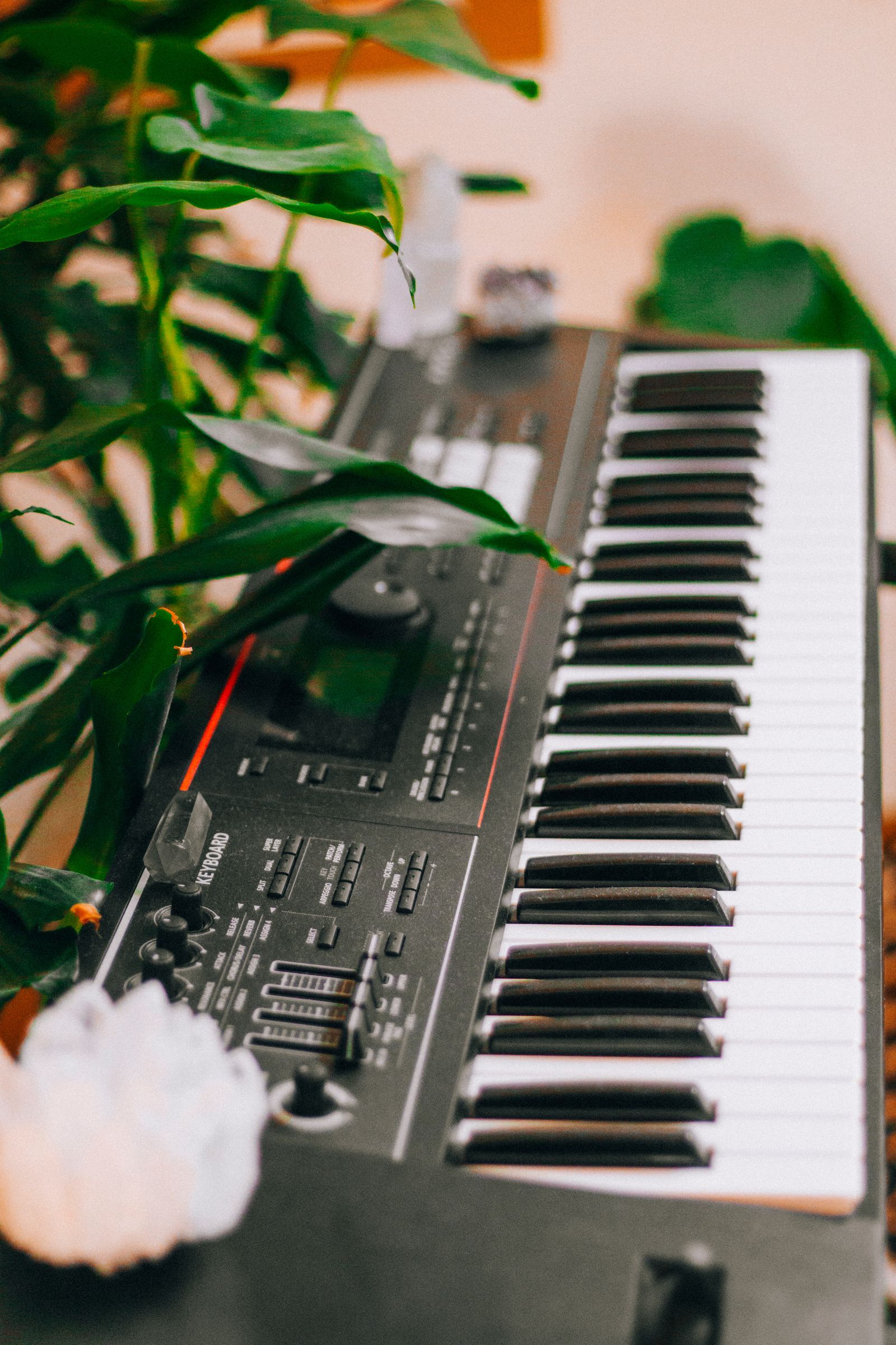 Piano numérique d'entrée de gamme posé près d'une fenêtre